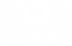 bilingual-minds
